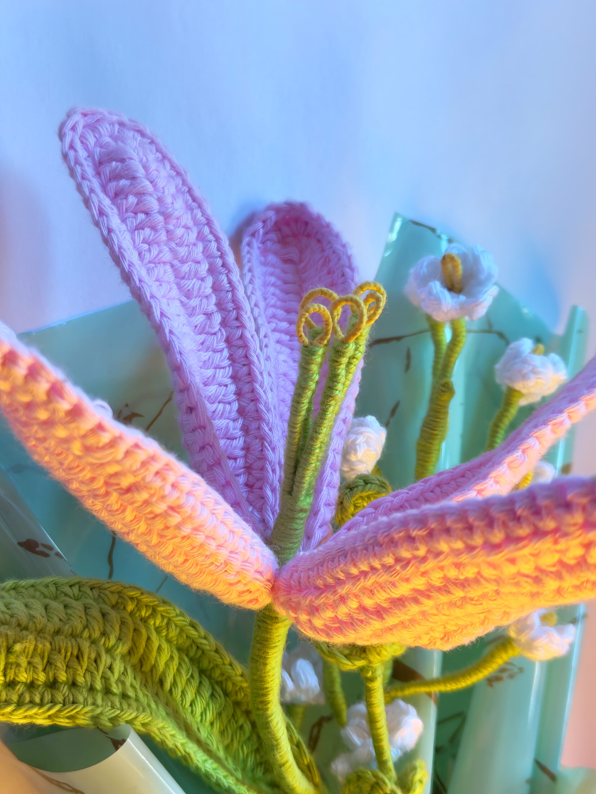 IMG_20250216_104557279