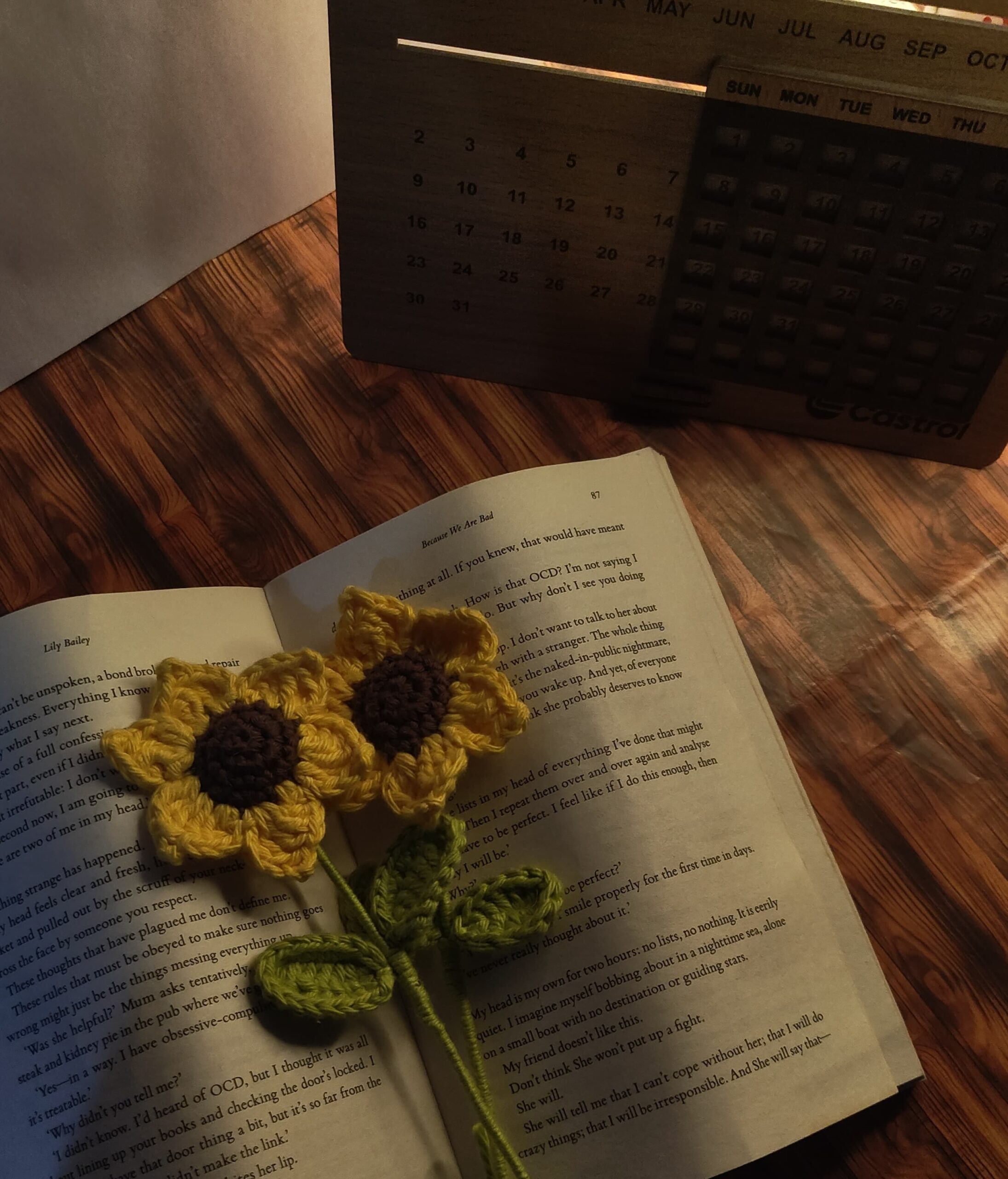 WhatsApp Image 2025-02-16 at 22.53.05_116b6c7f