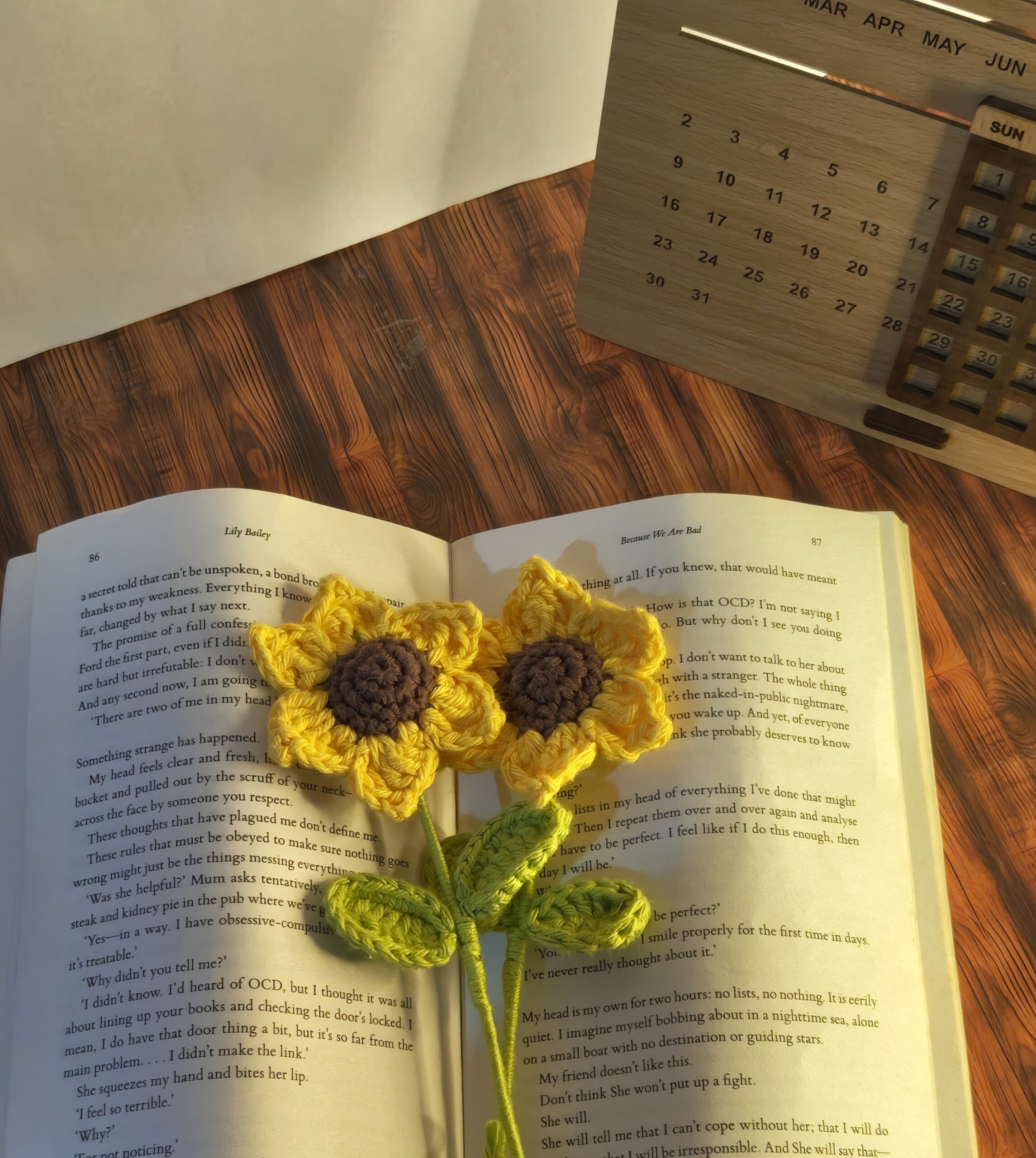 WhatsApp Image 2025-02-16 at 22.53.08_6561b2e1